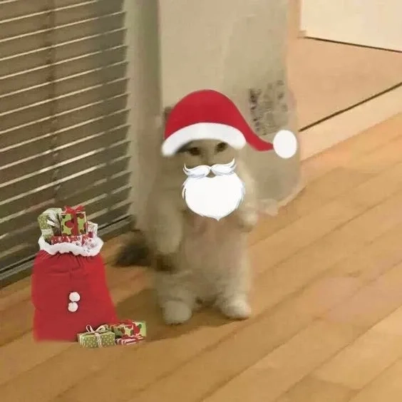 Dù không có cảm xúc, nhưng ảnh noel vô tri meme vẫn gây cười bất ngờ