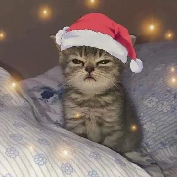 Tạo không khí Giáng Sinh với cây thông noel meme đầy sáng tạo