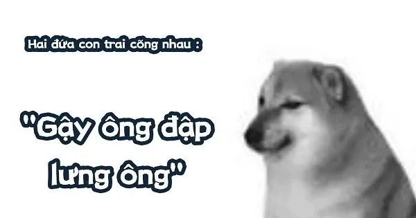 Shiba inu meme coin độc lạ, phù hợp làm meme chất lượng