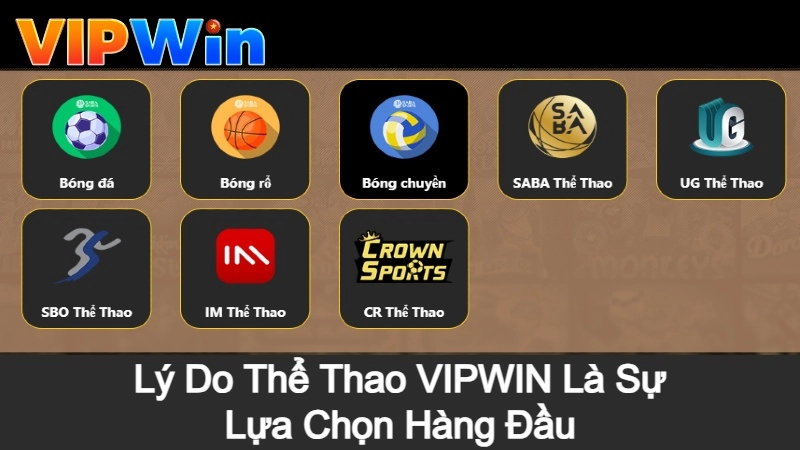 Lý Do Thể Thao VIPWIN Là Sự Lựa Chọn Hàng Đầu