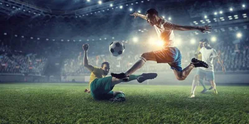 Hiểu vai trò nắm rõ các điều cung cấp tránh lỡ