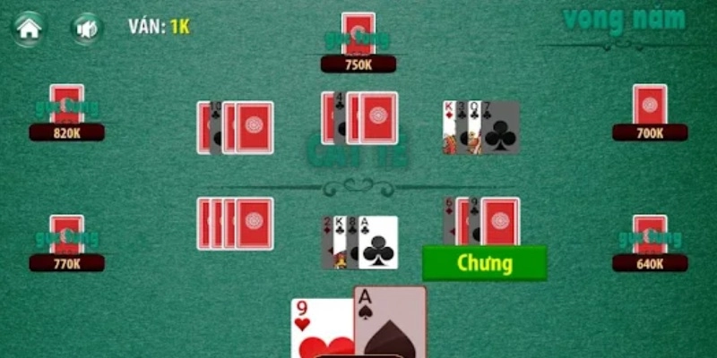 Hướng dẫn chơi catte Debet từ cơ bản