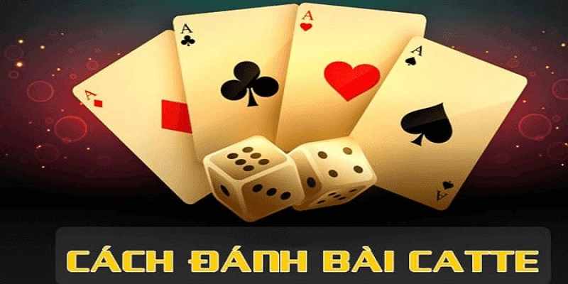 Quy tắc mẹo chơi bài Catte chi tiết từ cao thủ
