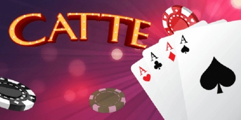 Một số thông tin về catte Win79
