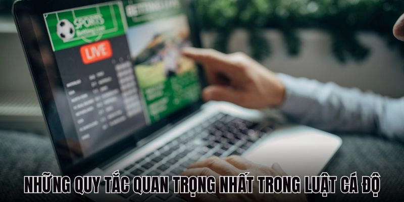 Những quy tắc quan trọng nhất trong luật cá độ