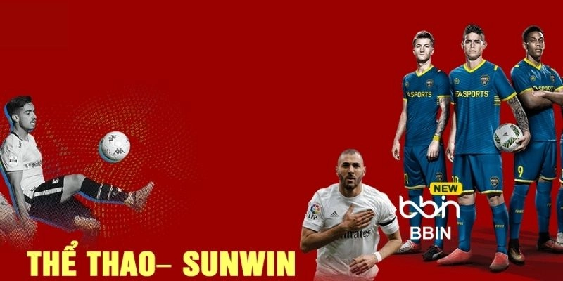 Hỗ Trợ Cá Cược Thể Thao Sunwin Trực Tiếp