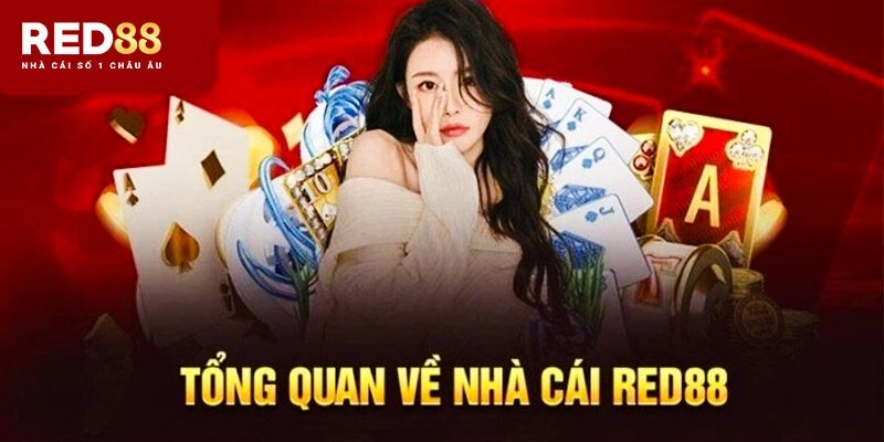 Những Giải Thưởng Hấp Dẫn Chờ Bạn Khám Phá