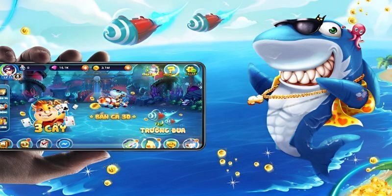 Top 5 loại cá 