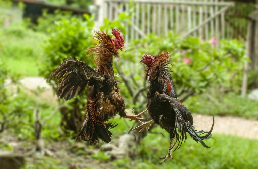  Giao diện đăng ký iwin đơn giản, nhanh chóng cho người mới.