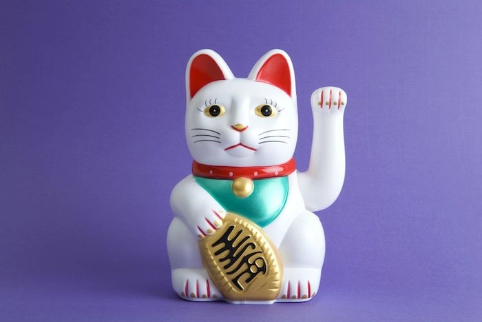 Tại Sao Lucky Neko Được Nhiều Người Yêu Thích?