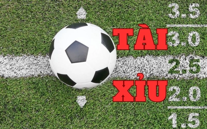Hướng dẫn chi tiết cách tham gia cá cược tài xỉu