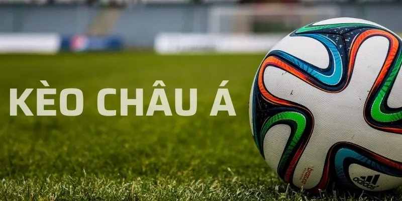 Tổng Quan Về Các Loại Kèo Châu Á Phổ Biến Tại Hi88