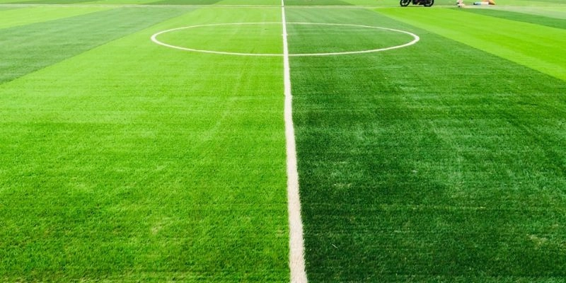 Thông tin điều kiện thời tiết, mặt sân thi đấu
