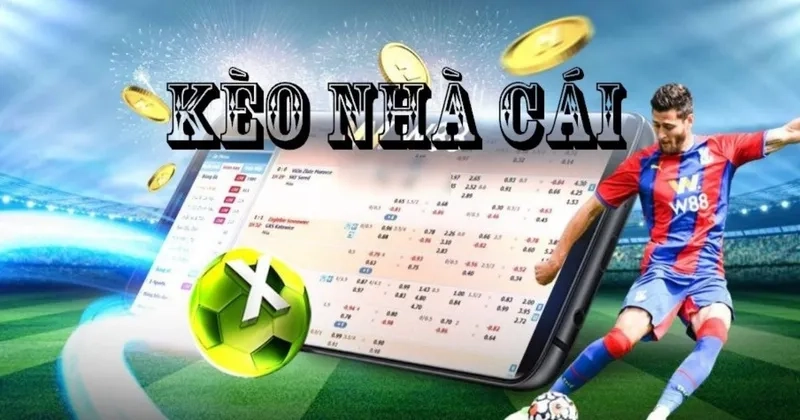  Bảng kèo trực quan, dễ đọc tại Thể Thao Ae888.