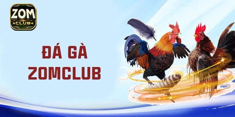 Đá gà ZomClub là gì? Trò chơi sống động đậm chất thực chiến