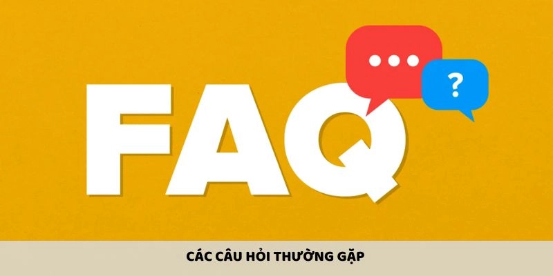 Giải đáp các câu hỏi