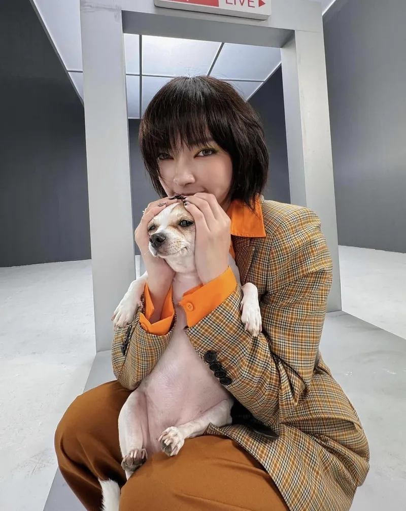 Tìm hiểu Châu Bùi phốt và câu chuyện phía sau ánh hào quang