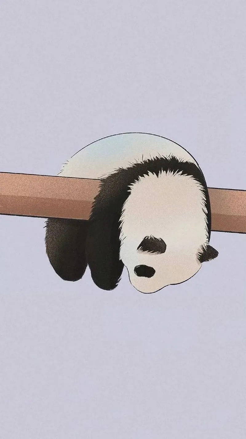 Thêm sắc màu với chibi cute panda siêu đáng yêu
