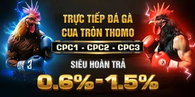 Các thể loại giải trí đa dạng tại sv368 thomo