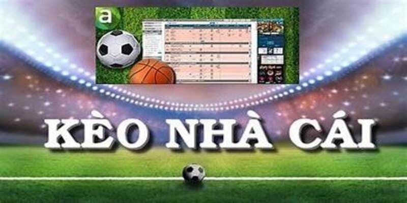 HDBET cập nhật kèo nhà cái nhanh đến mức nào?