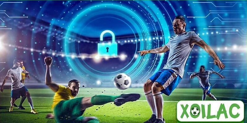 Mọi thông tin và dịch vụ trên website này đều được cung cấp hoàn toàn miễn phí