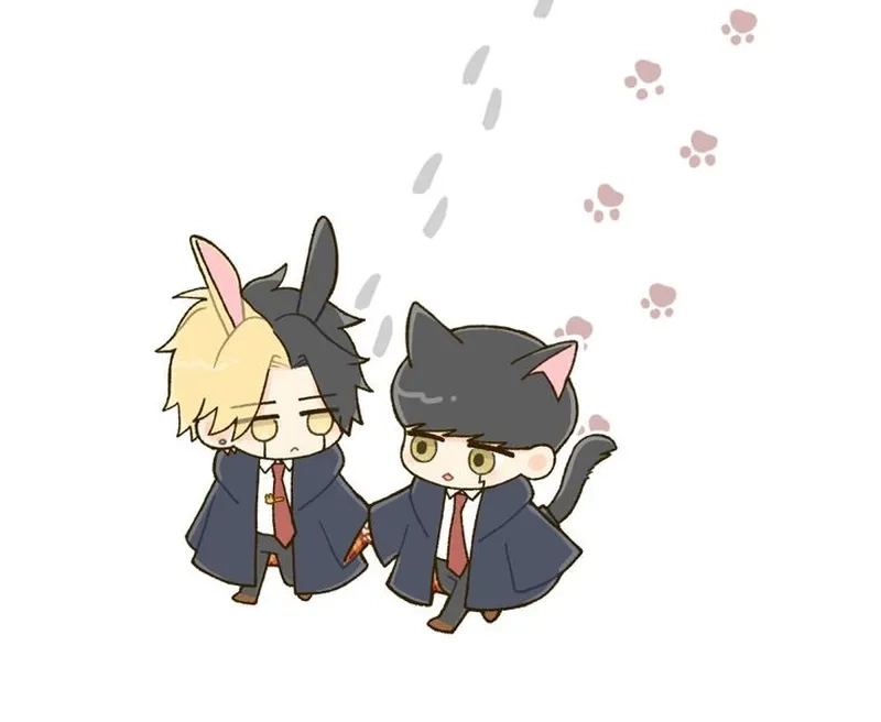 Yêu ngay finn mashle chibi trong hình ảnh đáng yêu