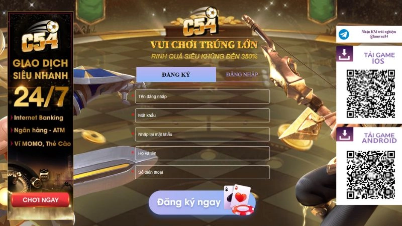 Nhập thông tin đăng ký C54 chính xác