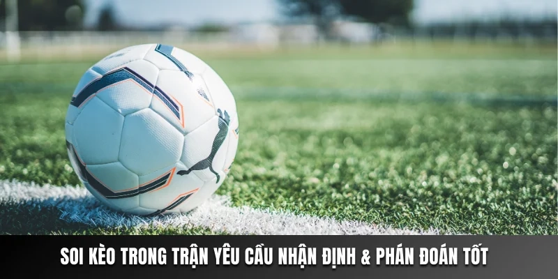 Soi kèo trong trận yêu cầu nhận định &amp; phán đoán tốt  