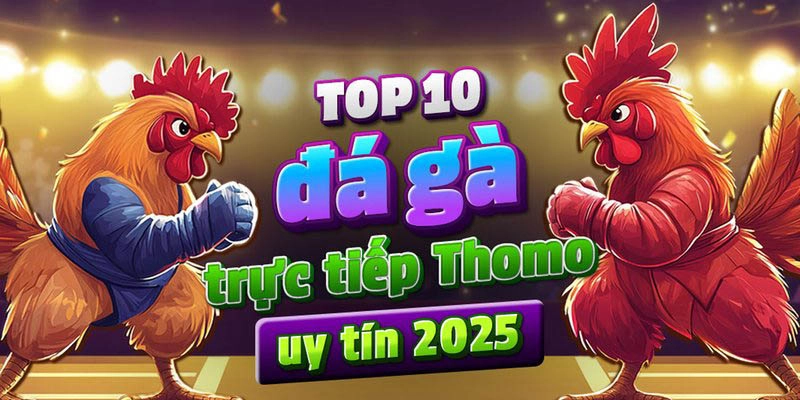 Bí kíp bách chiến bách thắng tại sv368 thomo
