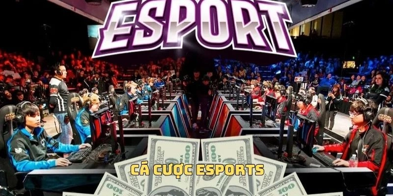 Esports là môn thể thao hiện đại cực Hot