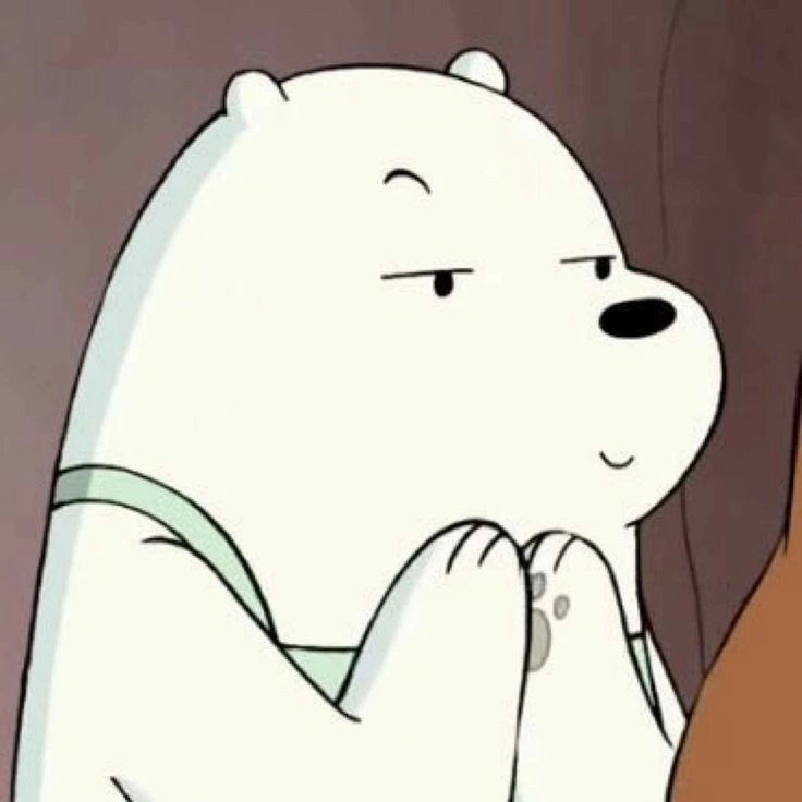 Xem bộ sưu tập ảnh con gấu trắng cute đáng yêu siêu đỉnh