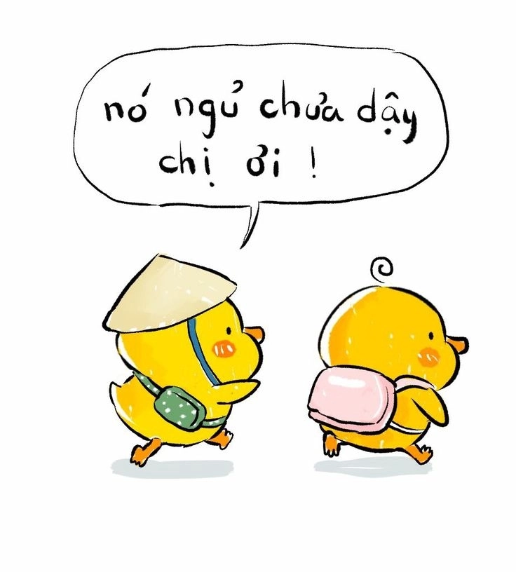 Hinh con vit cute siêu ngầu lại hài