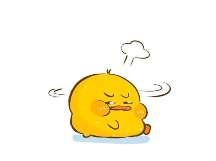 Ảnh chú vịt cute tinh nghịch dễ thương