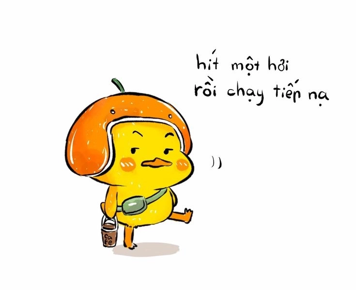Ảnh vịt cute nhìn thôi cũng yêu