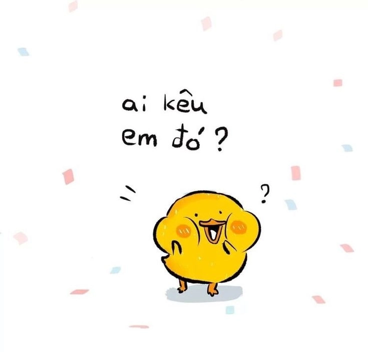 Hình ảnh vịt cute khiến lòng xốn xang
