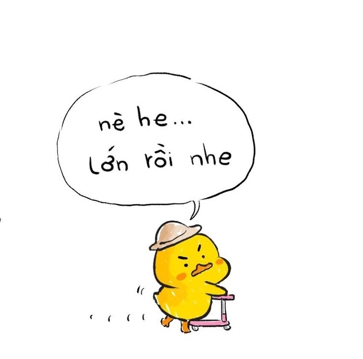 Ảnh chú vịt vàng nhìn là yêu ngay