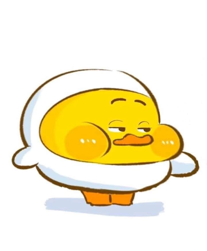 Ảnh vàng cute cho ai mê vịt