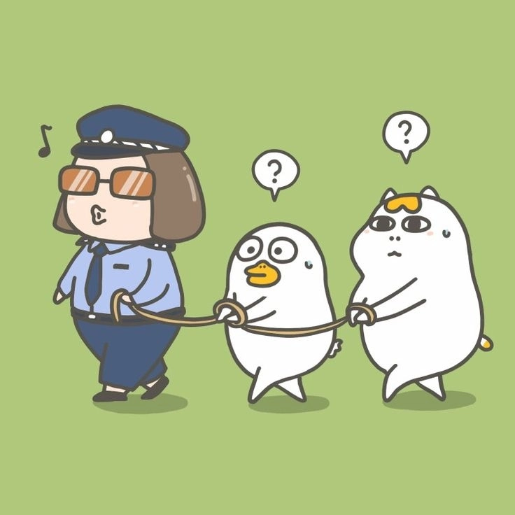 Ảnh vịt trắng siêu cute ai cũng mê