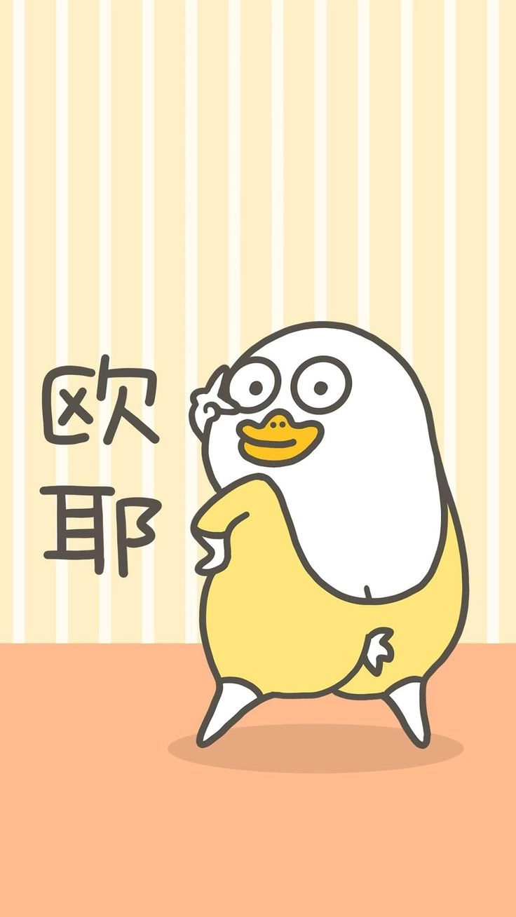 Ảnh vịt trắng cute nhìn là bật cười
