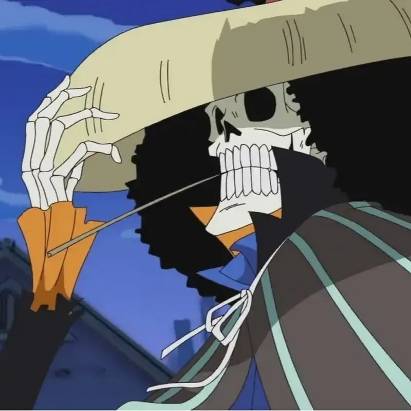 Trích đoạn ảnh từ brook one piece song