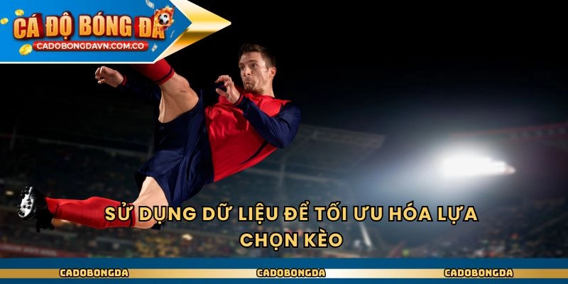 Sử dụng dữ liệu để tối ưu hóa lựa chọn kèo