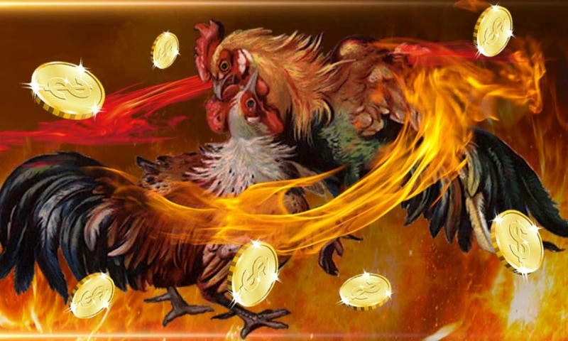  Chọn bàn đá gà phù hợp tại link vào 8live cho người mới!