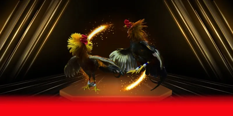 Sự hấp dẫn đến từ mô hình đá gà Thomo