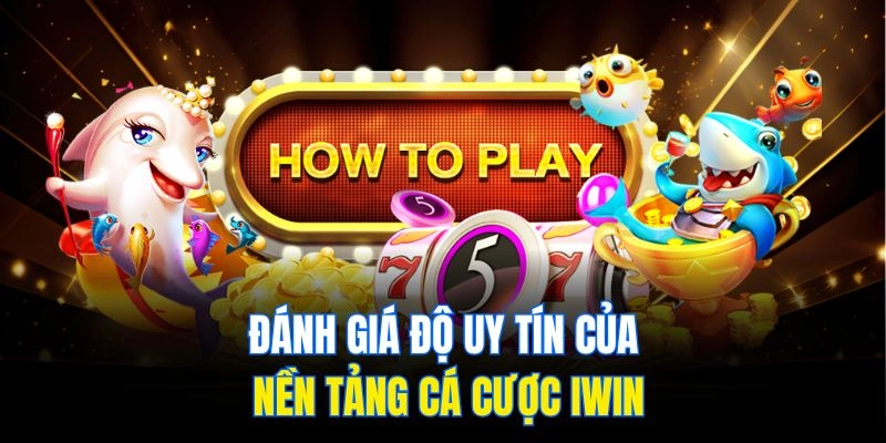Đánh giá độ uy tín của nền tảng cá cược Iwin