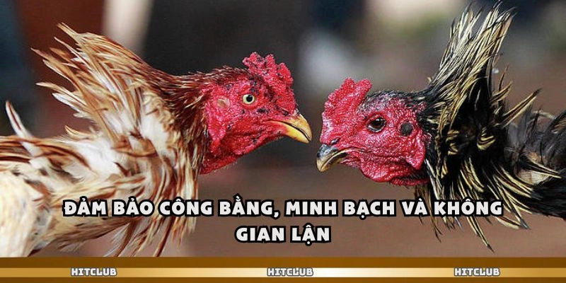 Đảm bảo công bằng, minh bạch và không gian lận