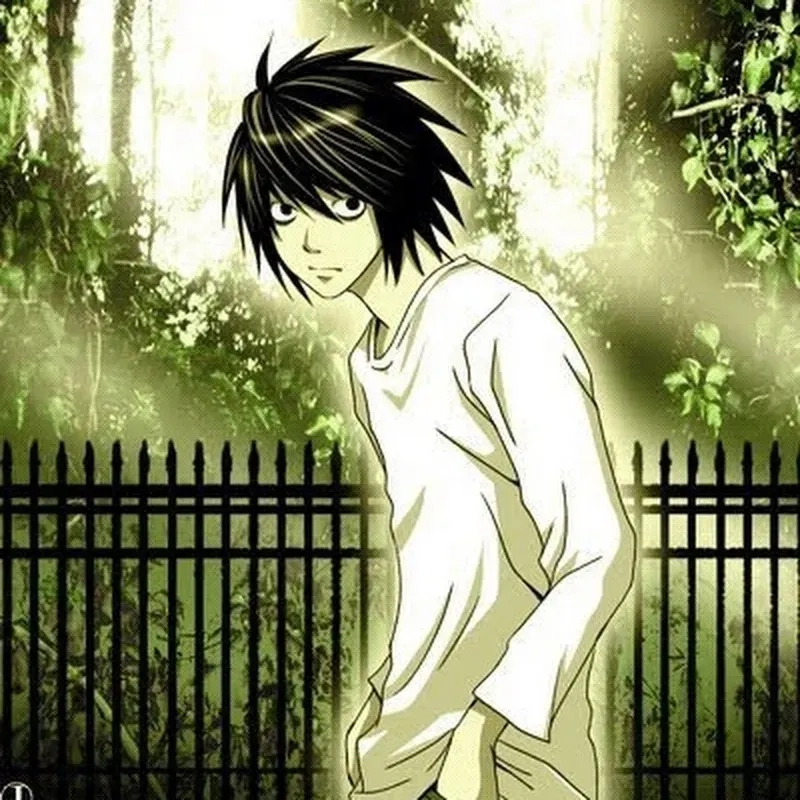 Liệu Does L lawliet like Misa là thật không