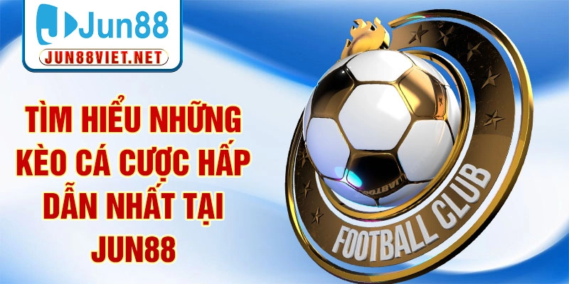 Tìm hiểu những kèo cá cược hấp dẫn nhất tại Jun88