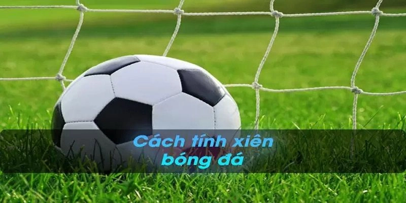 Tổng quan thông tin về cách tính xiên