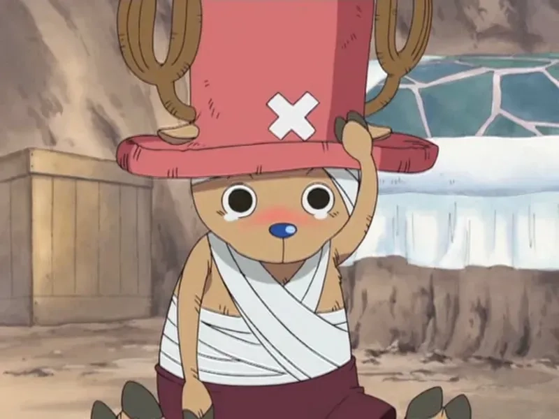Giải đáp thắc mắc is tony tony chopper a doctor