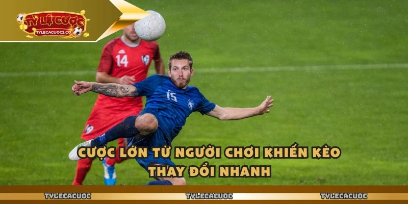 Cược lớn từ người chơi khiến kèo thay đổi nhanh